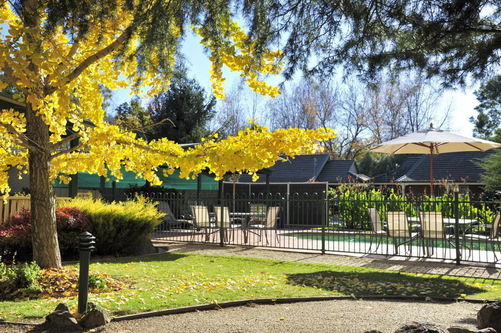 The Birch House - Silver Birches Accommodation ברייט מראה חיצוני תמונה