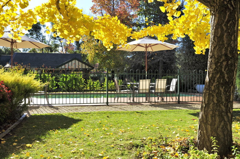 The Birch House - Silver Birches Accommodation ברייט מראה חיצוני תמונה