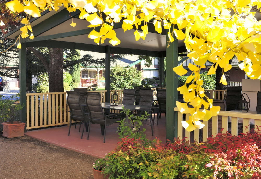 The Birch House - Silver Birches Accommodation ברייט מראה חיצוני תמונה