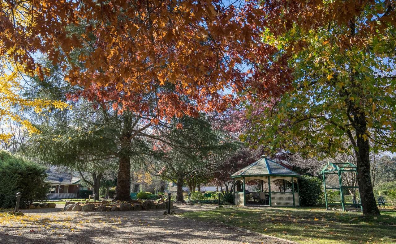 The Birch House - Silver Birches Accommodation ברייט מראה חיצוני תמונה