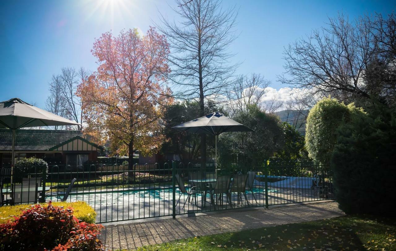 The Birch House - Silver Birches Accommodation ברייט מראה חיצוני תמונה