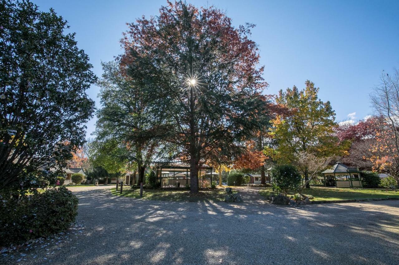 The Birch House - Silver Birches Accommodation ברייט מראה חיצוני תמונה