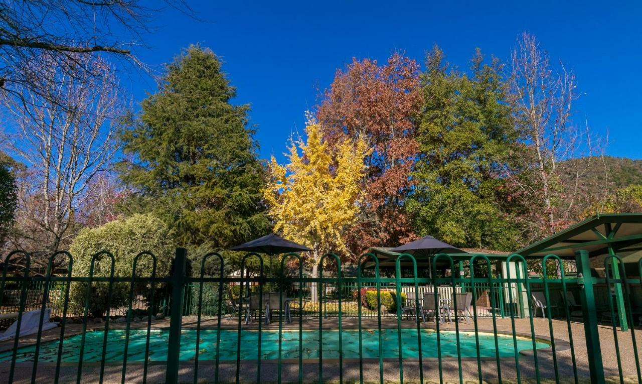 The Birch House - Silver Birches Accommodation ברייט מראה חיצוני תמונה